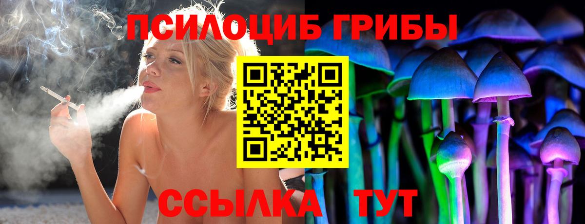 Псилоцибиновые грибы GOLDEN TEACHER Минеральные Воды